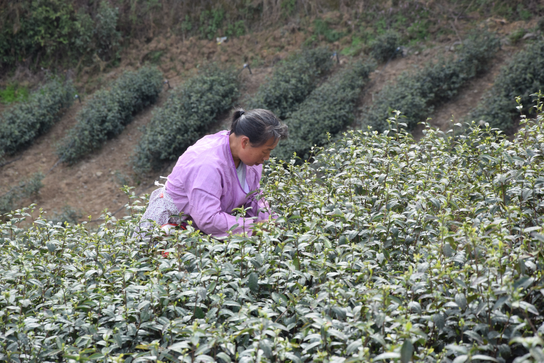 点击图片进入下一页 点击图片进入下一页
